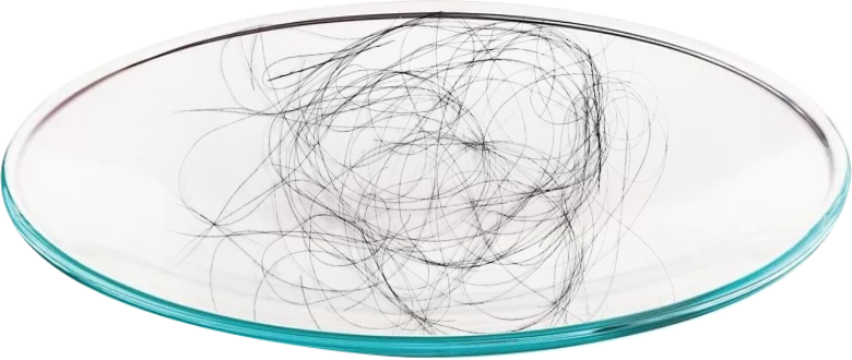 nadmierna ilość włosów na szkiełku laboratoryjnym