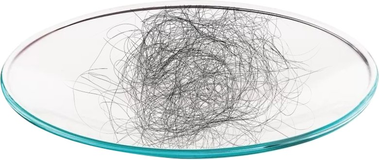 bardzo duża ilość włosów na szkiełku laboratoryjnym